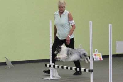 Obedience and Rally Fans