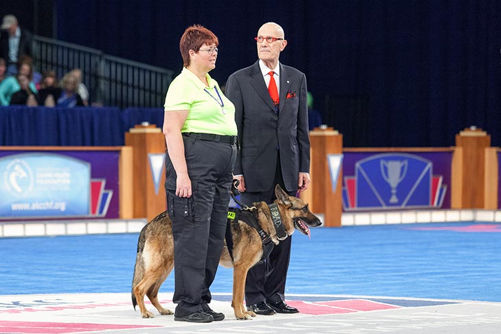 Search and Rescue Dog: “Ty,” a German Shepherd Dog handled by Melissa Frye.