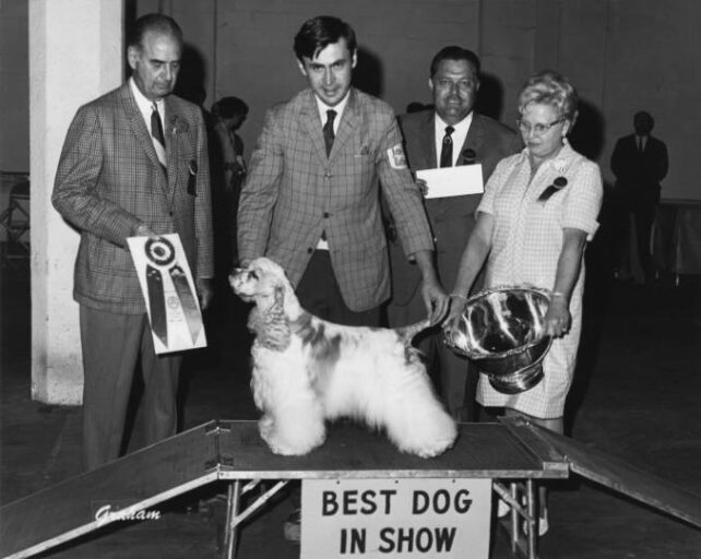 Cocker Spaniel History America s Most Popular Dog In The Mid 1900s