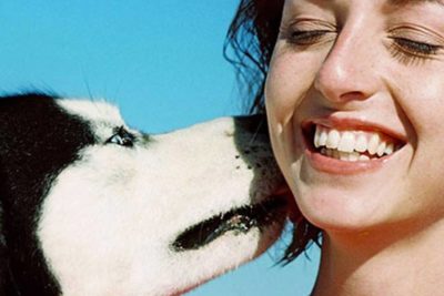 why do dogs lick