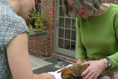 responsible breeder