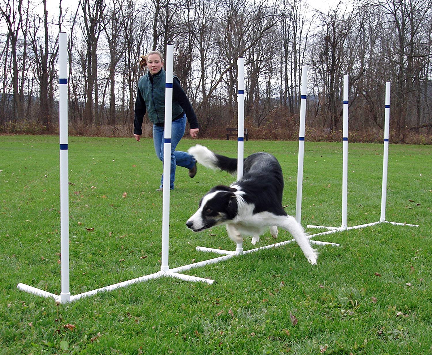 dog products for spring