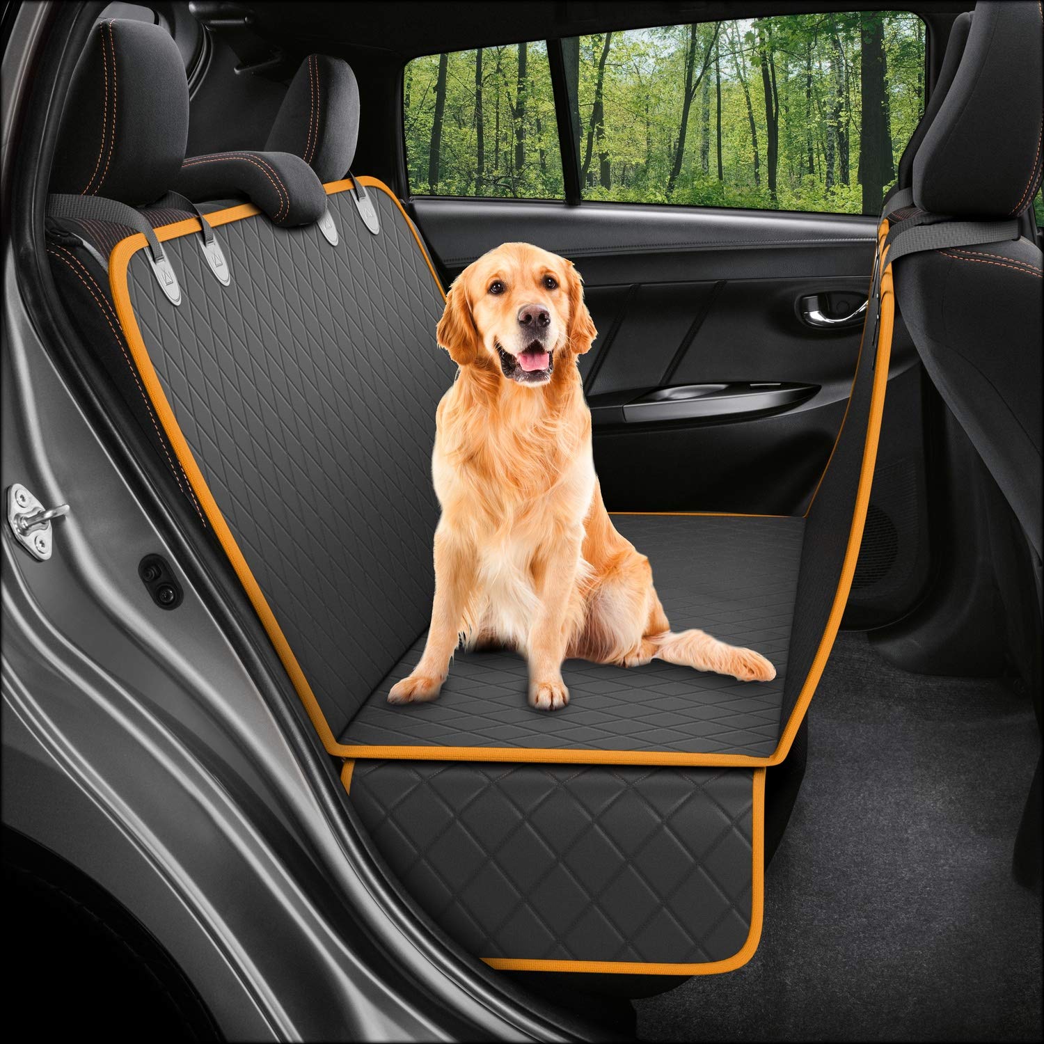 dog products for spring