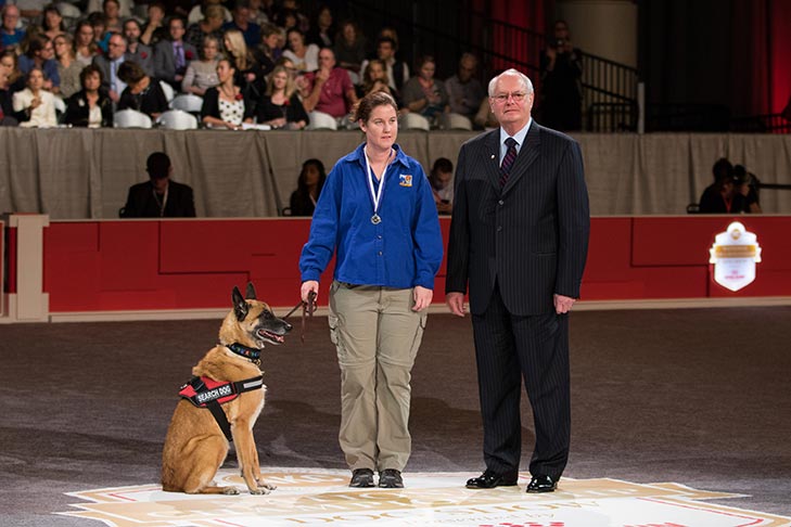 “Bodie,” a Belgian Malinois owned and handled by Amy Lavoie.