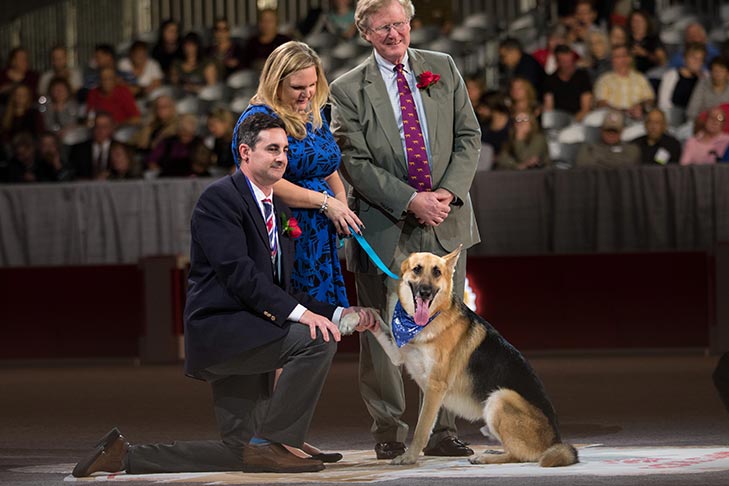 “Haus,” a German Shepherd Dog owned by Donya DeLuca.