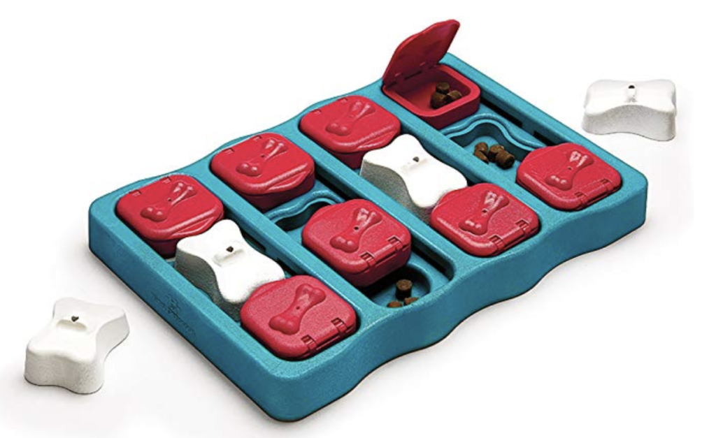 brain teaser for dogs