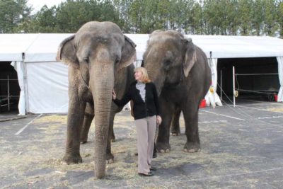 Woman standing in front of two elephants