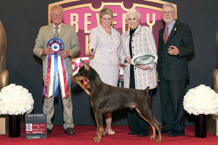 Beverly Hills Dog Show