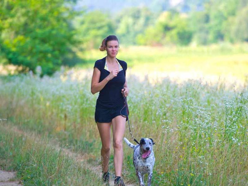 Running Safely with Your Dog
