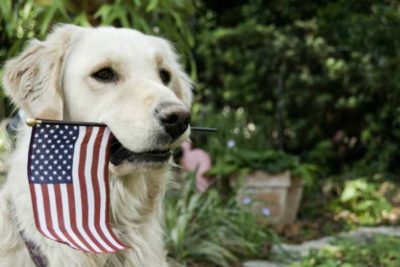Make it a Dog-Friendly 4th of July