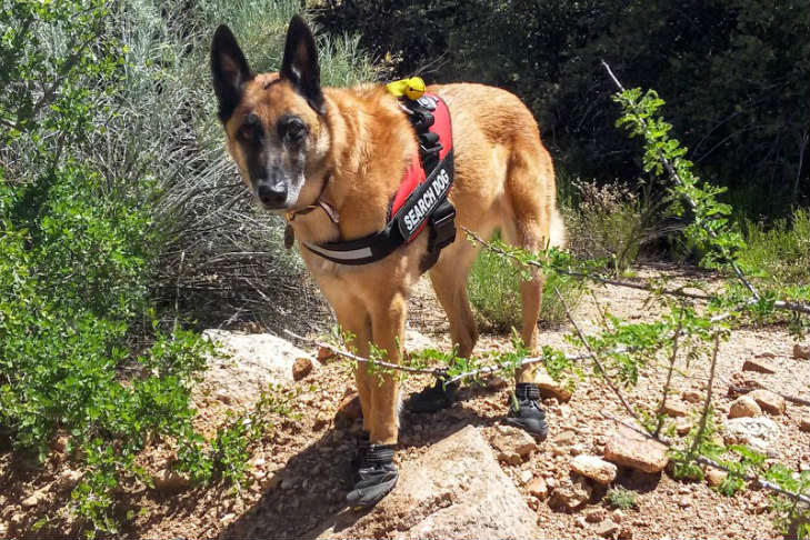 2016 ACE Award winner Bodie