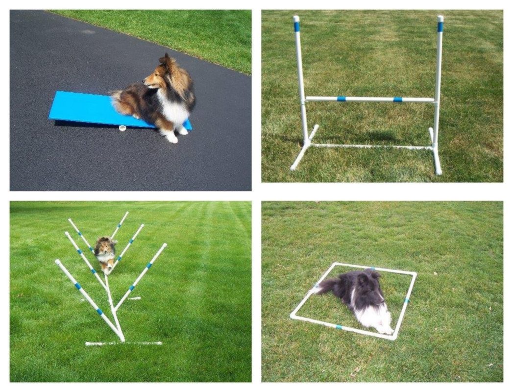 Dog Agility Equipment for Backyard Training and Just Plain Fun