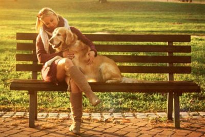 Woman on a bench with a golden retriever