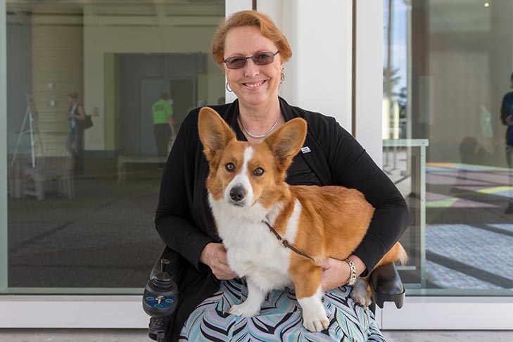 Exemplary Companion Dog: “Amber,” a Cardigan Welsh Corgi owned by Sonja Benavidez of Geneseo, Illinois.