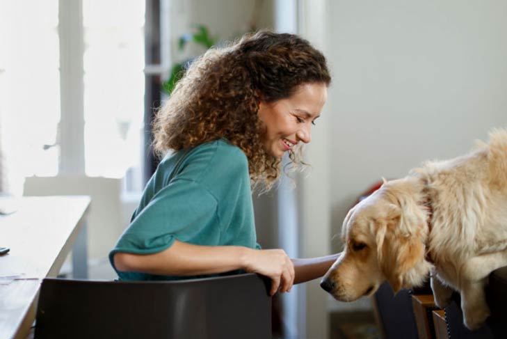 Golden Retriever and woman in an apartment