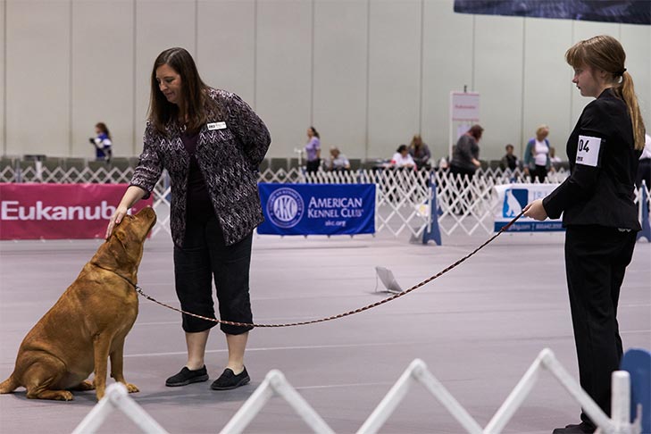 2018 Juniors Classic Obedience and Rally, Orlando, FL.
