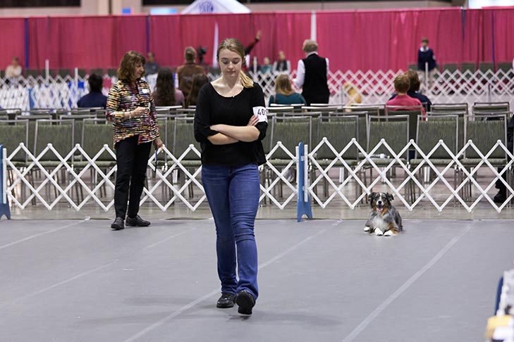 2018 Juniors Classic Obedience and Rally, Orlando, FL.