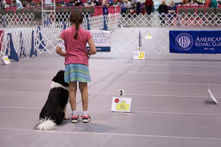 2018 Juniors Classic Obedience and Rally, Orlando, FL.