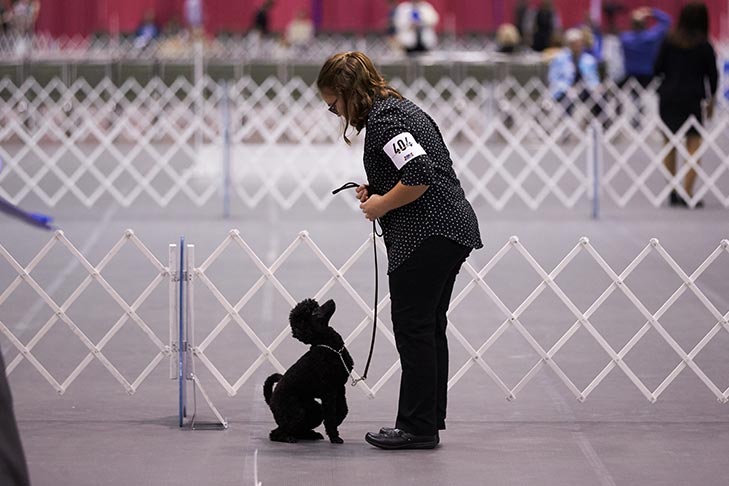 2018 Juniors Classic Obedience and Rally, Orlando, FL.