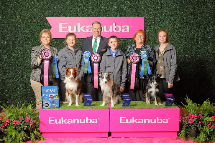 Junior 2017 winners