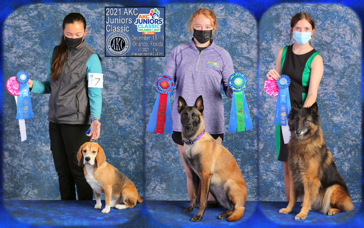 Dog Show Image from 2021 AKC Obedience Classic and Juniors Classic