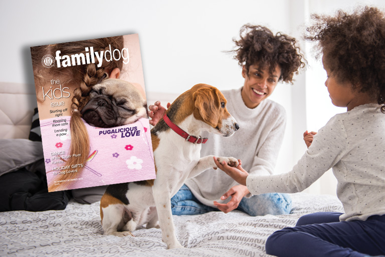 AKC Family Dog Hero Nov/Dec 2018