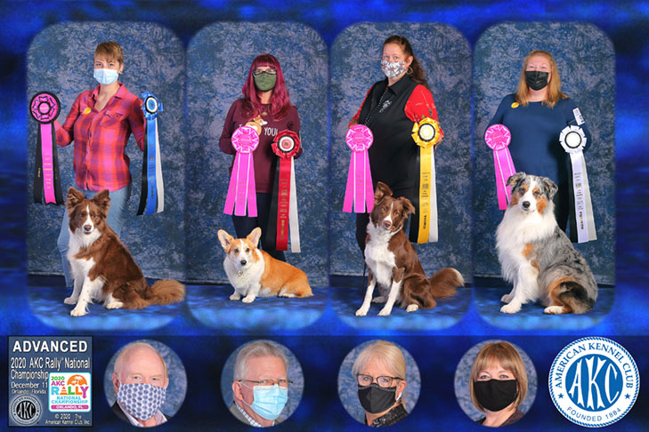 2020 AKC Rally National Championship Advanced Class winners.