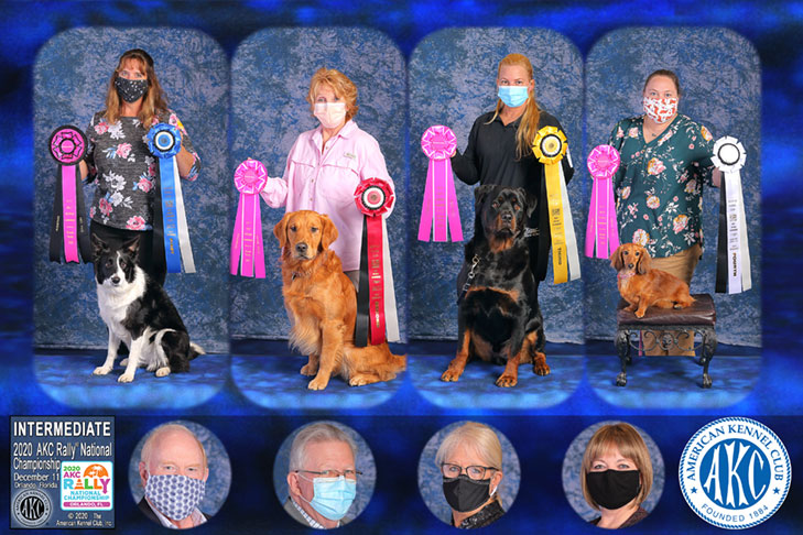 2020 AKC Rally National Championship Intermediate Class winners.