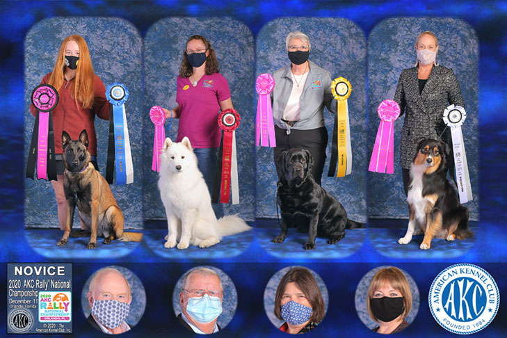 2020 AKC Rally National Championship Novice Class winners.