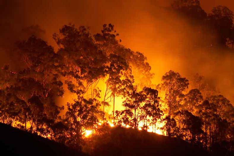 wildfire hero