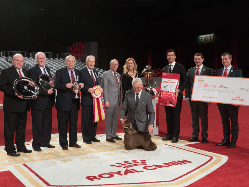 Striker Wins the AKC National Championship presented by Purina 2017