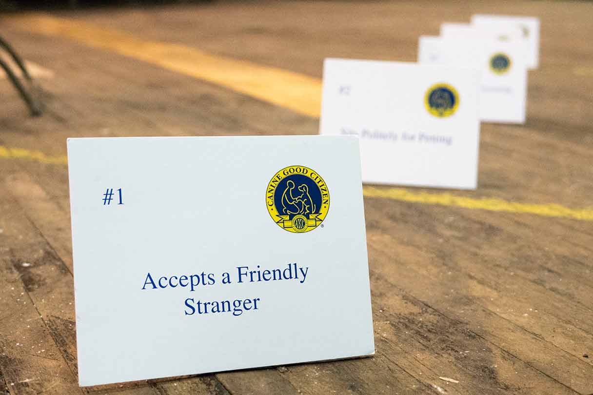 Akc Urban Canine Good Citizen 2025