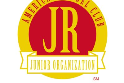 AKC Jr Handler Program