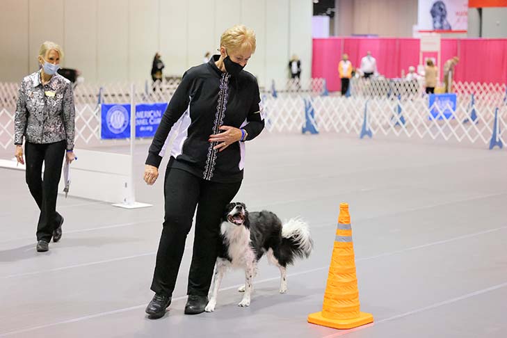 First Place Masters Class: OTCH2 Windstar's Dressed To Kill UDX3 PCDX OM4 BN GO RAE HSAs HSBs HIAs HIBs HXAs DS TKA (Prada), Border Collie. Handled by: Jeannie Dennard.