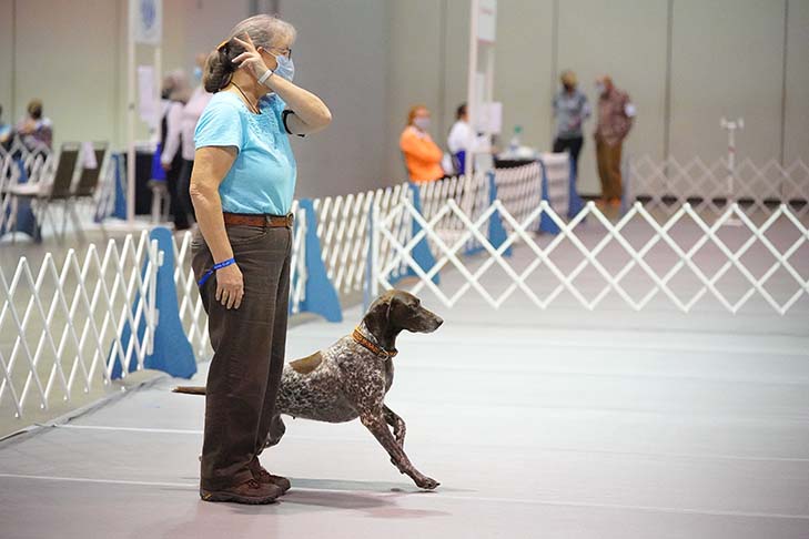 First Place Utility Class: Meadowhill's Play With Fire UDX PCDX OM1 BN GO VER RE SH JHR (Ember), German Shorthaired Pointer. Handled by: Linda Montgomery.