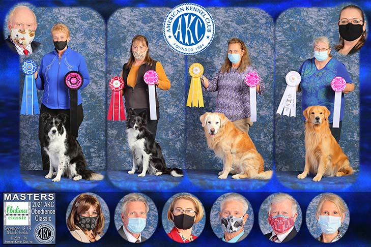 (Left to Right) Masters First Place: OTCH2 Windstar's Dressed To Kill UDX3 PCDX OM4 BN GO RAE HSAs HSBs HIAs HIBs HXAs DS TKA (Border Collie), "Prada" handled by Jeannie Dennard. Masters Second Place: OTCH2 Norwood's Ewe Make It Simple UDX OM3 BN (Border Collie), "Zen" handled by Betsy Scapicchio. Masters Third Place: OTCH17 Topbrass The Greatest Show On Earth UDX13 OGM BN GN (Golden Retriever), "Circus" handled by Annette Sizemore. Masters Fourth Place: OTCH Twincreek's Treasure Hunter VCD3 UDX3 OM6 RN MX MXJ OAP NF (Golden Retriever), "Hunter" handled by Lynn K Bauer.