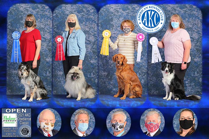 (Left to Right) Open First Place: Blue Skies At Dejavu UD (Australian Shepherd), "Willie" handled by Kathleen Keller. Open Second Place: Wyndspell Effervescent CDX (Keeshond), "Fresca" handled by Marion Crain. Open Third Place: Hi-Star Wild Wild West CDX BN CGC (Golden Retriever), "Chewie" handled by Lois C Ornat. Open Fourth Place: Czechmate Can'T Fight Fate CDX RN (Border Collie), "Taylor" handled by Kathleen Walker.