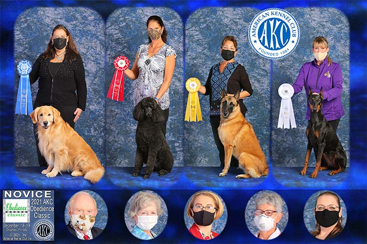 (Left to Right) Novice First Place: Cashmere's Spirit In The Sky CD BN GN RA ACT1 ACT2J CGC TKN (Golden Retriever), "Kasper" handled by Karen Thompson. Novice Second Place: Apparition Gleeful Spirit CD MX AXJ (Poodle), "Glee" handled by Kim Berkley. Novice Third Place: Belcol Jbels Midnight Cowboy CD BN RN OA OAJ OF SWN SCA SIA SEA (Belgian Malinois), "Tex" handled by Nadia Innes. Novice Fourth Place: Qieki Vom Landgraf CD PCD BN (Doberman Pinscher), "Qieki" handled by Meryl Winnie.