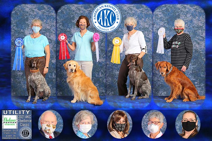 (Left to Right) Utility First Place: Meadowhill's Play With Fire UDX PCDX OM1 BN GO VER RE SH JHR (German Shorthaired Pointer), "Ember" handled by Linda H Montgomery. Utility Second Place: MACH Flickering Fire Reach For The Sky VCD3 BN RN MXB MJS MXF ACT2 CGC TKP (Golden Retriever), "Luna" handled by Cynthia L. Everett. Utility Third Place: Bleugras Molly Shine On! UD PCDX OM1 (German Shorthaired Pointer), "Molly" handled by Kim Farley. Utility Fourth Place: Sporting Gold Hopes 'N' Dreams UDX OM2 BN SH (Golden Retriever), "Murphy" handled by Nancy Sawdo.