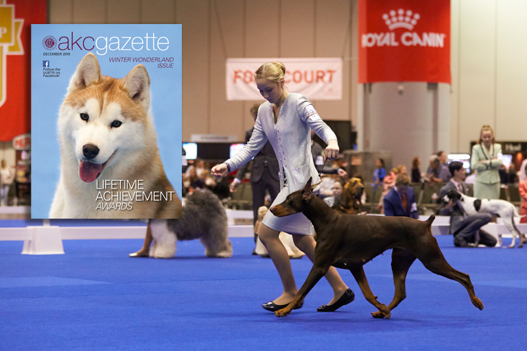 Akc Gazette American Kennel Club