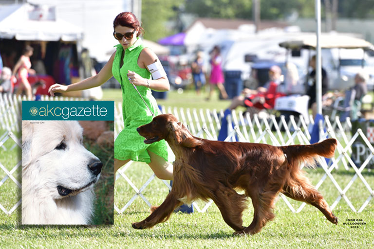 Sept_2018_AKC_Gaz_SneakPeekPg