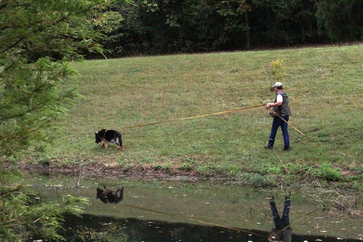 tracking