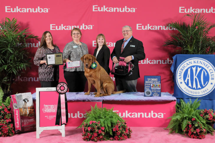 Preferred Novice Top Combined award winner: Cassandra Didelot and Ruby, a Labrador Retriever of South Carolina; 2018 AKC Juniors Classic.