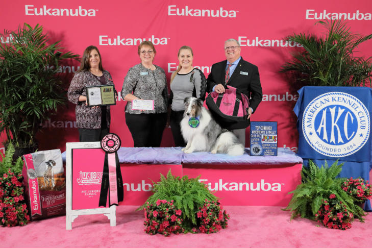Preferred Open Top Combined award winner: Abigail Stark and Drumlin’s Fuji Made for Pictures CDX BN GN RE (Fuji), a Shetland Sheepdog of Wisconsin; 2018 AKC Juniors Classic.
