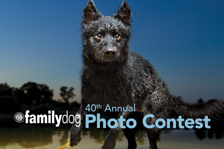 photocontest 2018