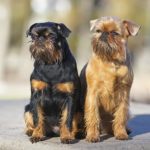 clear gloss sealer spray