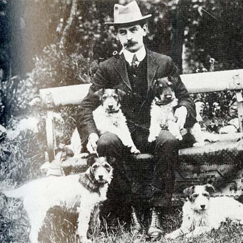 parson russell terrier hunting