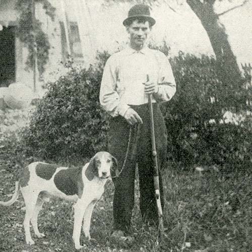 do coonhounds like water