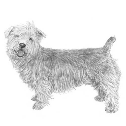 glen of imaal for sale