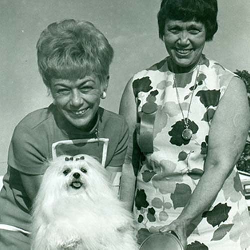 A vintage photograph of a Maltese outdoors with two women.